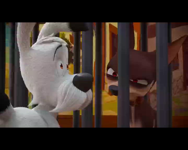 Sans Camulogène pas de plaisir