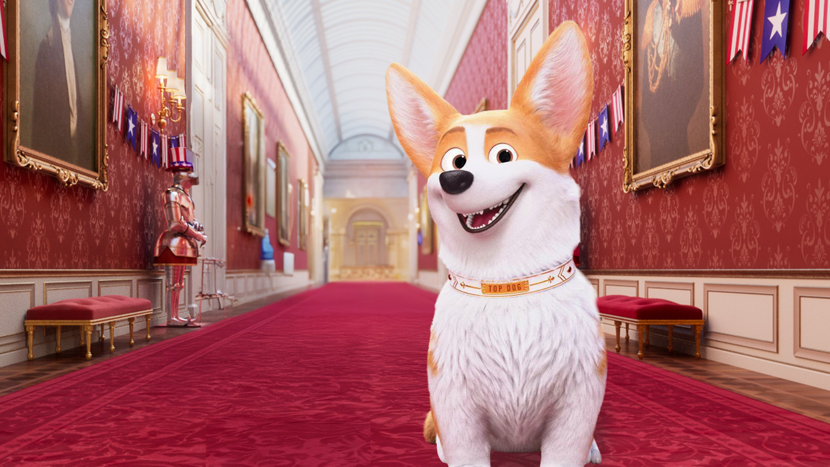 Royal Corgi
