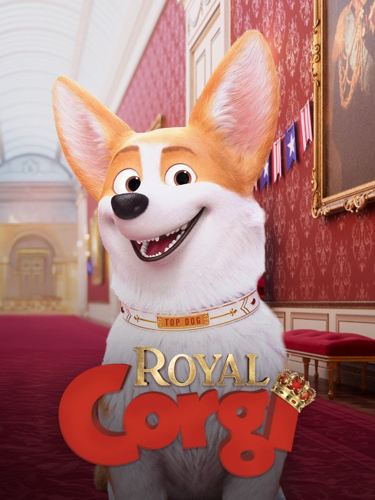Royal Corgi