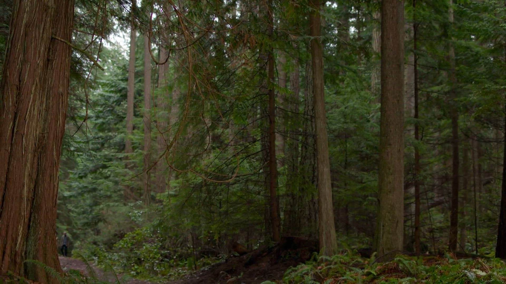 S1 E1 - Les suspects