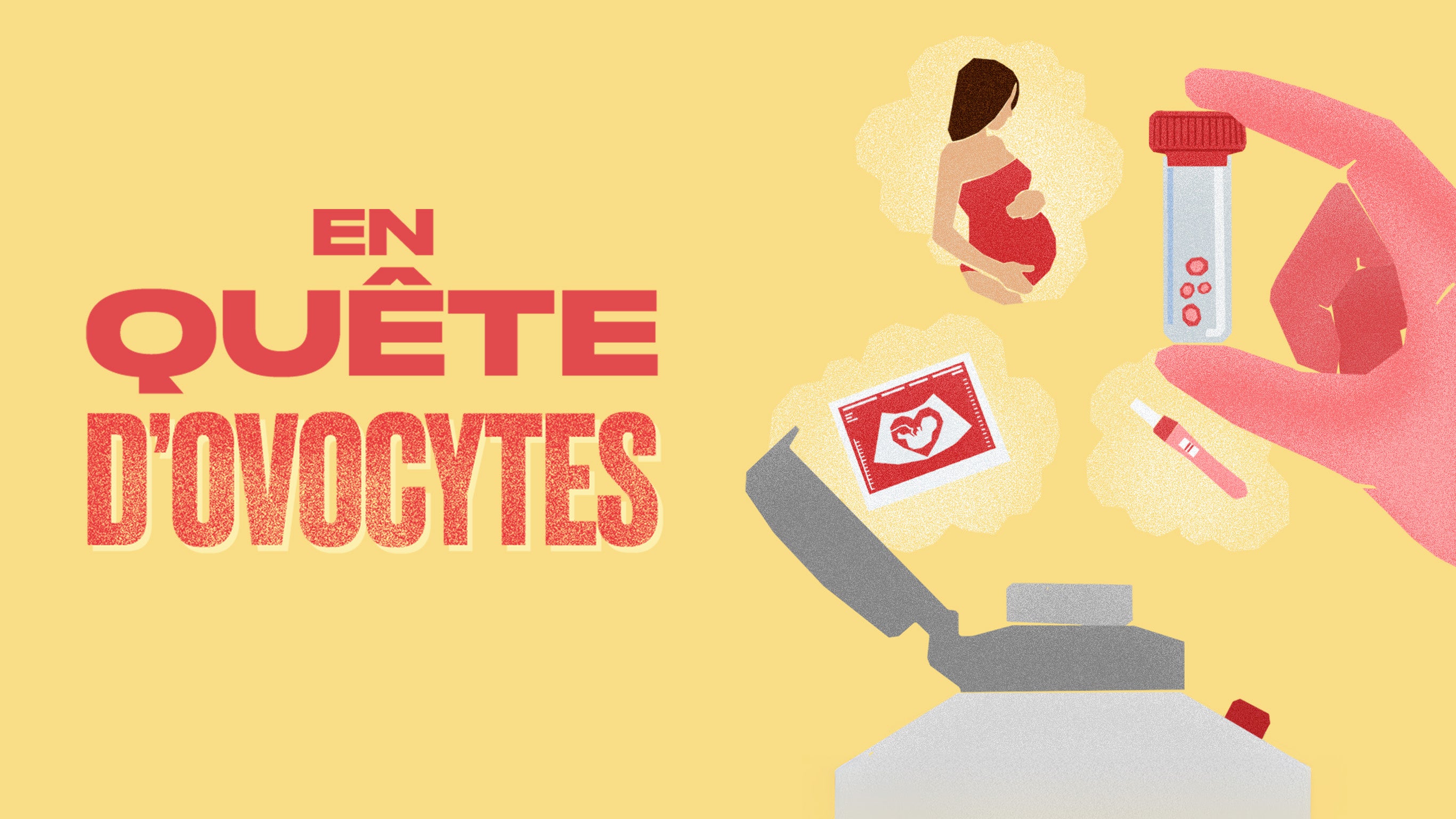 En quête d'ovocytes
