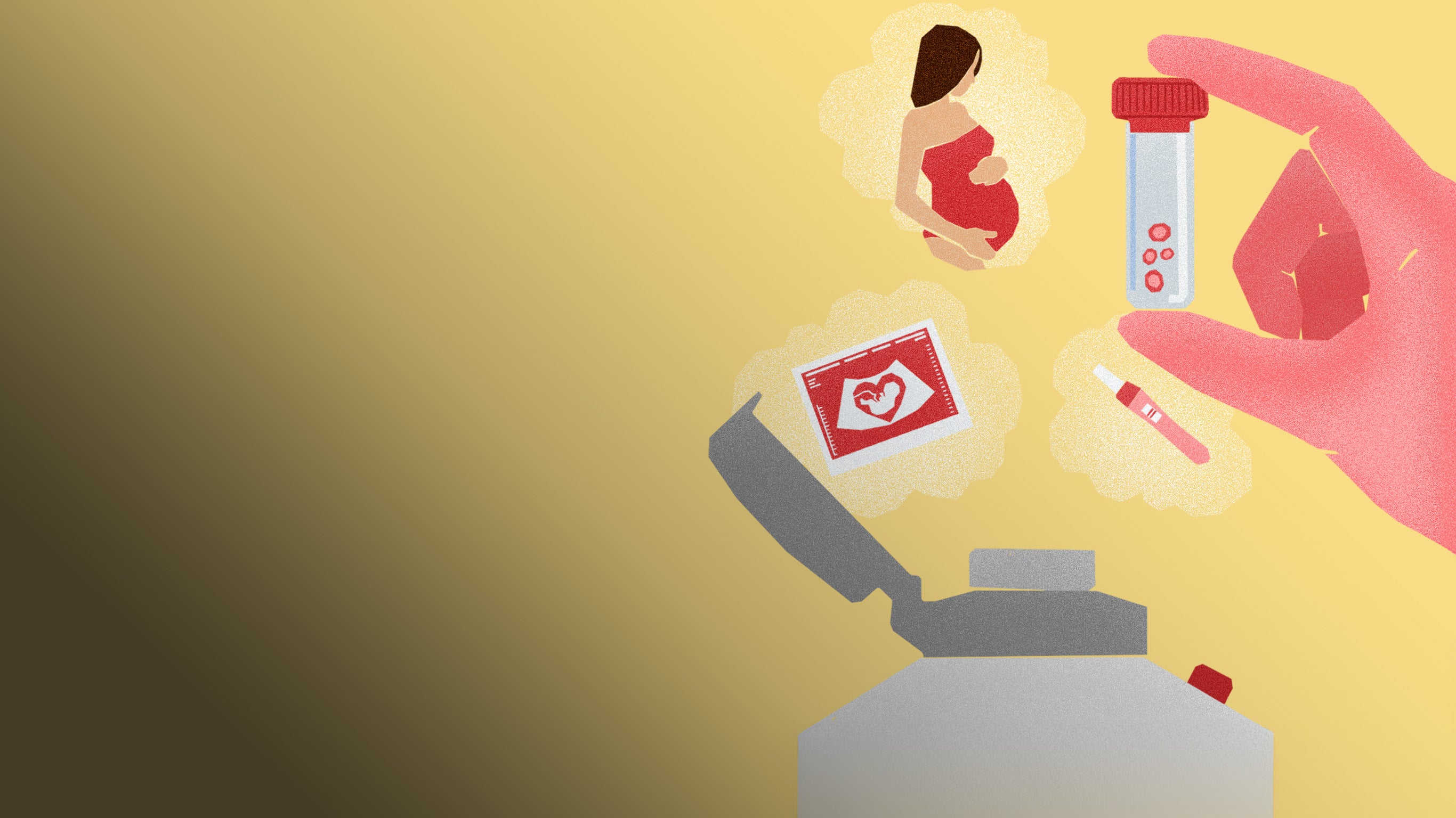 En quête d'ovocytes