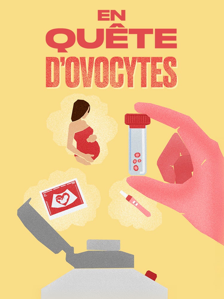 En quête d'ovocytes