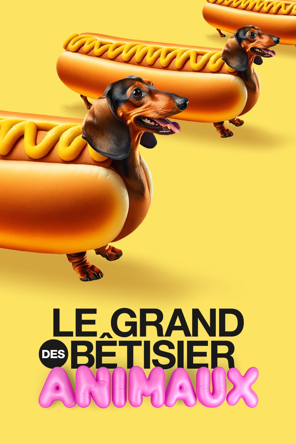 Le grand bêtisier des animaux