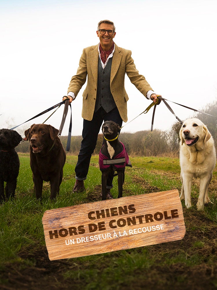 Chiens hors de contrôle - un dresseur à la rescousse