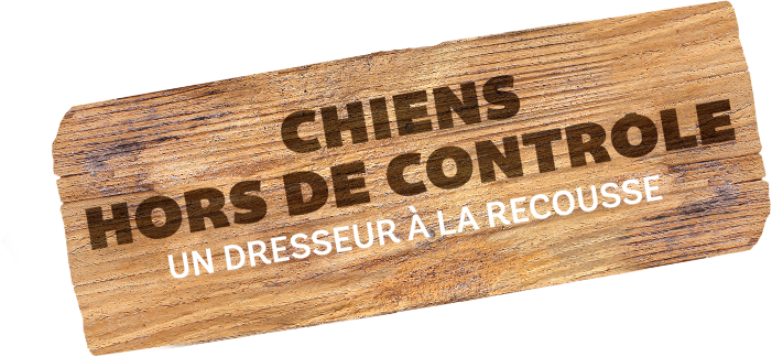 Chiens hors de contrôle - un dresseur à la rescousse
