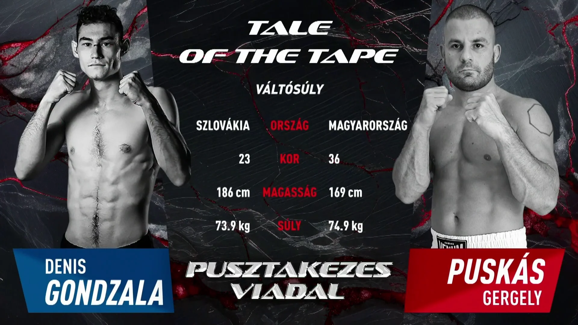 Denis Gondzala vs Puskás Gergő