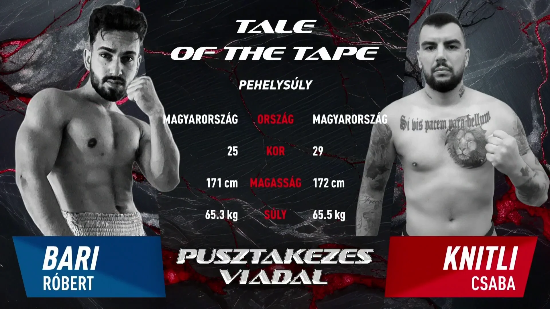 Bari Róbert vs Knitli Csaba