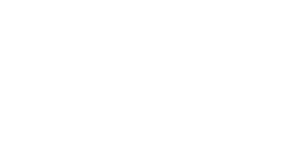 9-1-1 : Lone Star