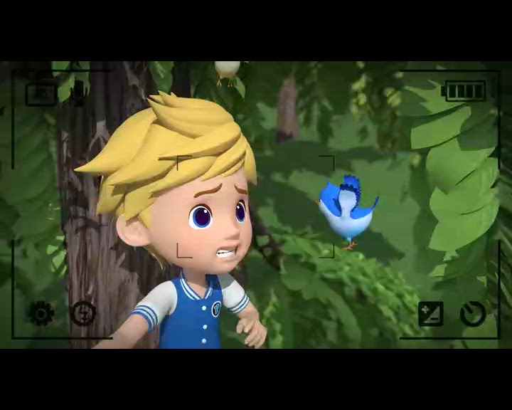 Faites attention aux animaux sauvages