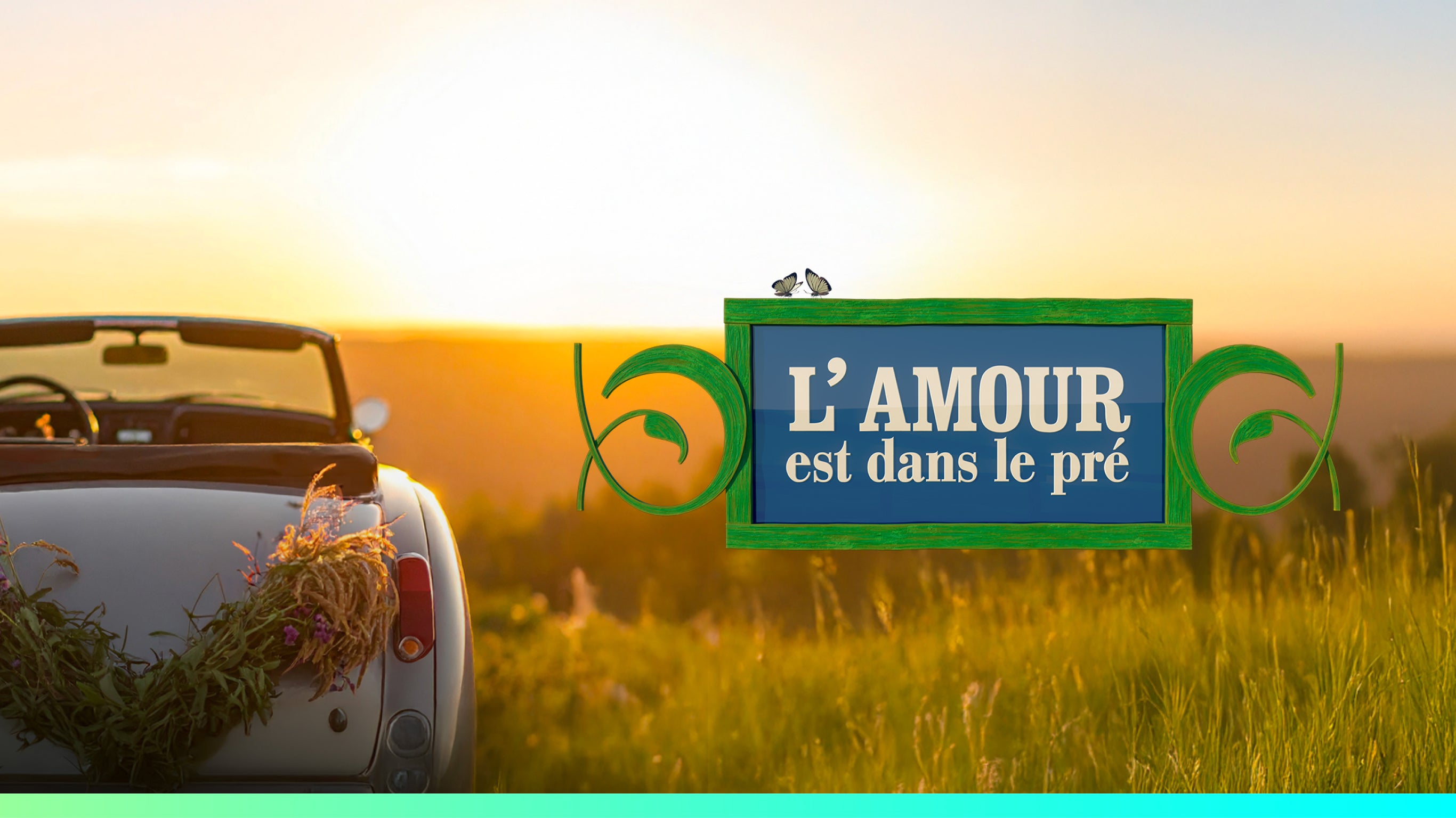 ProgramLink - vignette - 9997