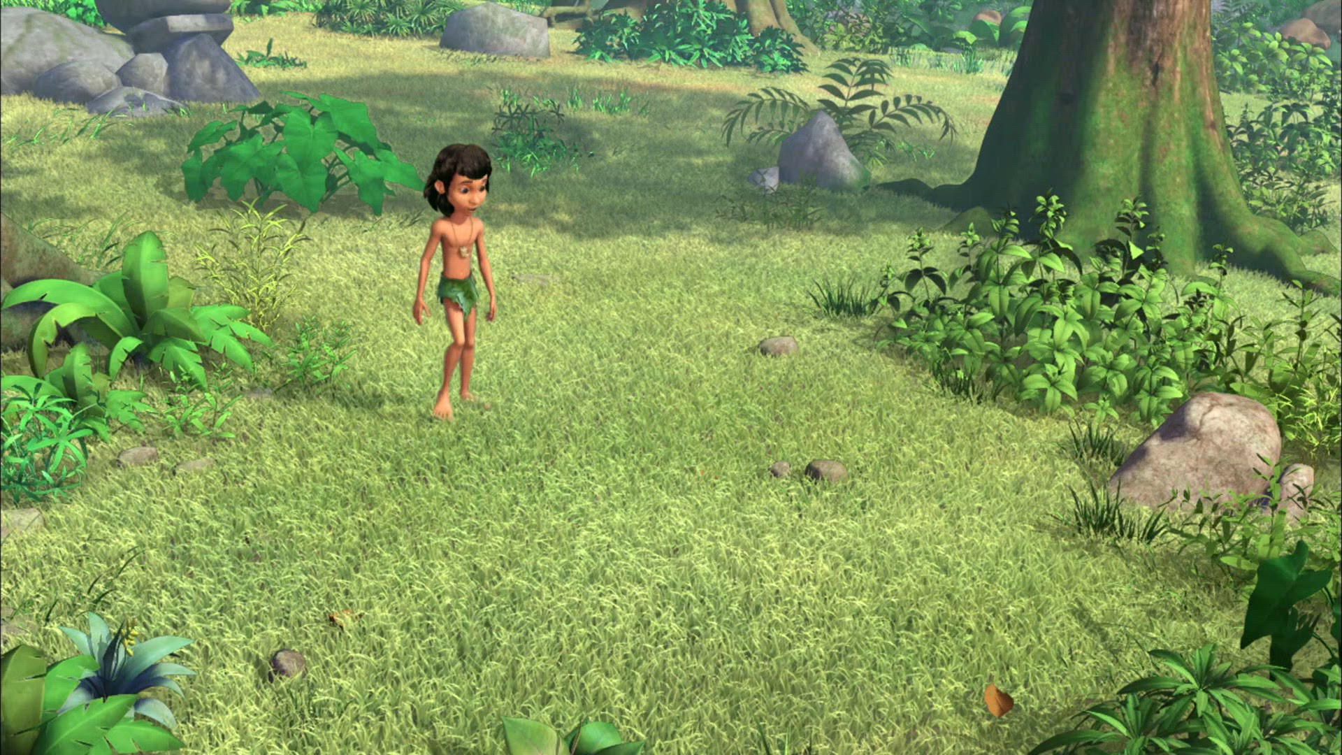 2. évad 2. rész | Medve tények