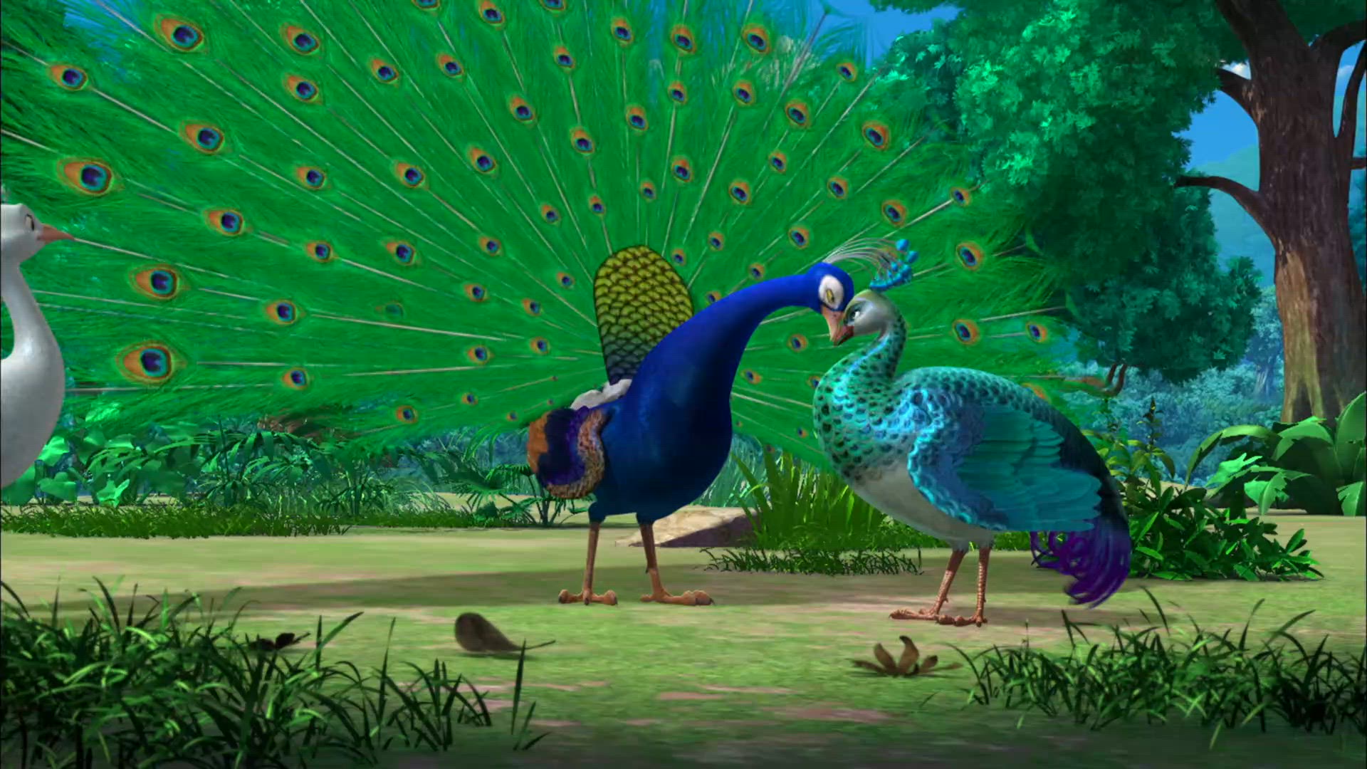 2. évad 1. rész | Pávó a páva