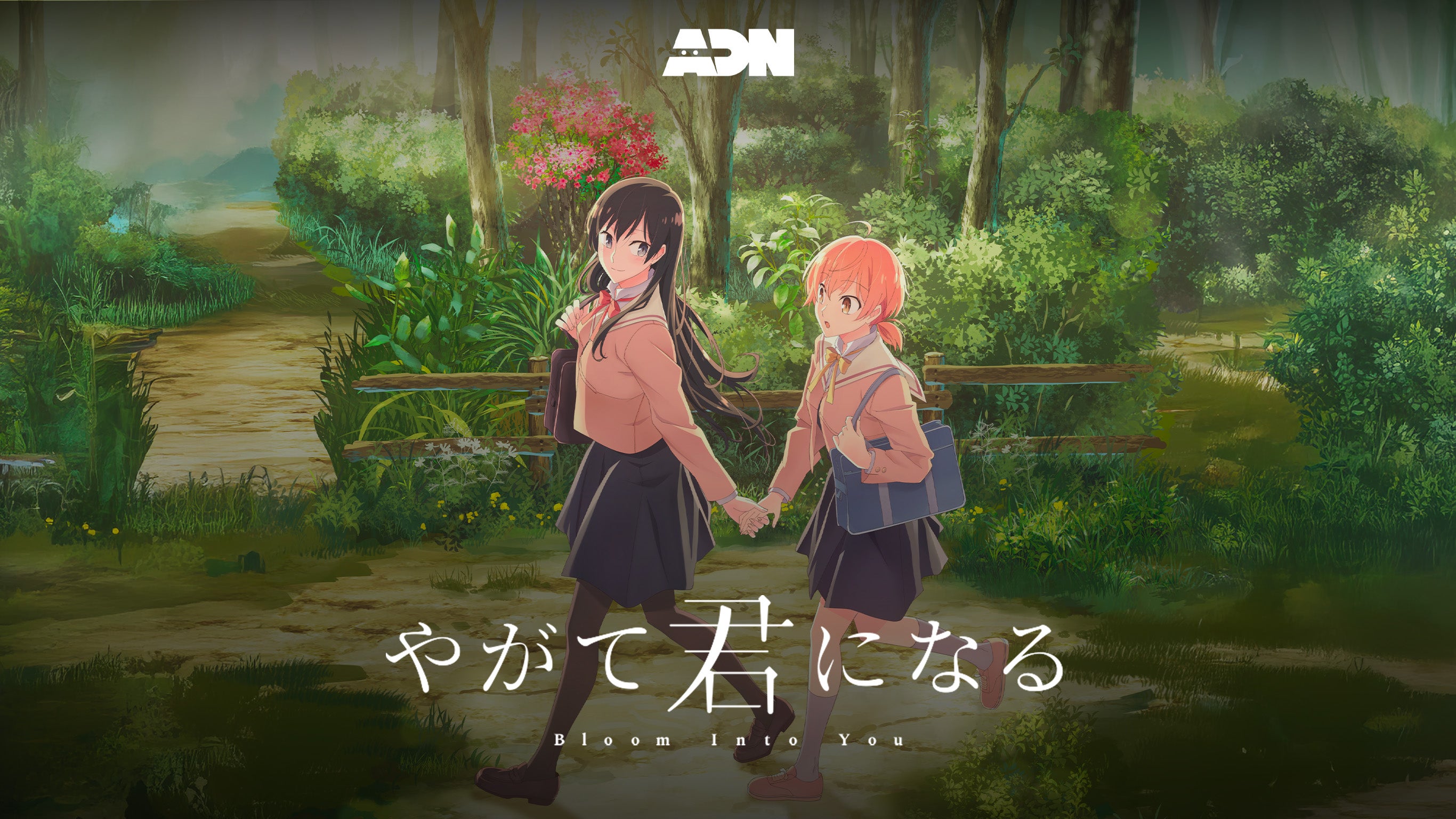 Bloom into you