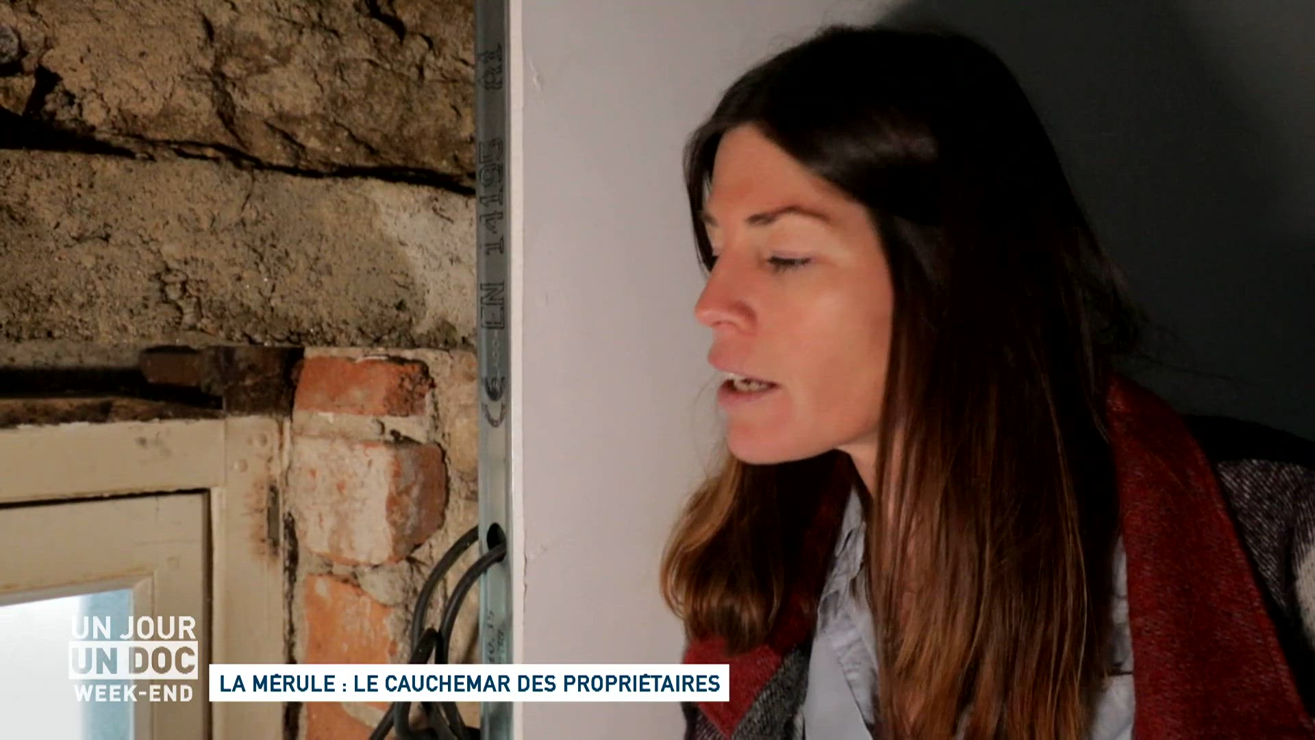 La mérule : le cauchemar des propriétaires / Immobilier : propriétaires de plus en plus jeunes