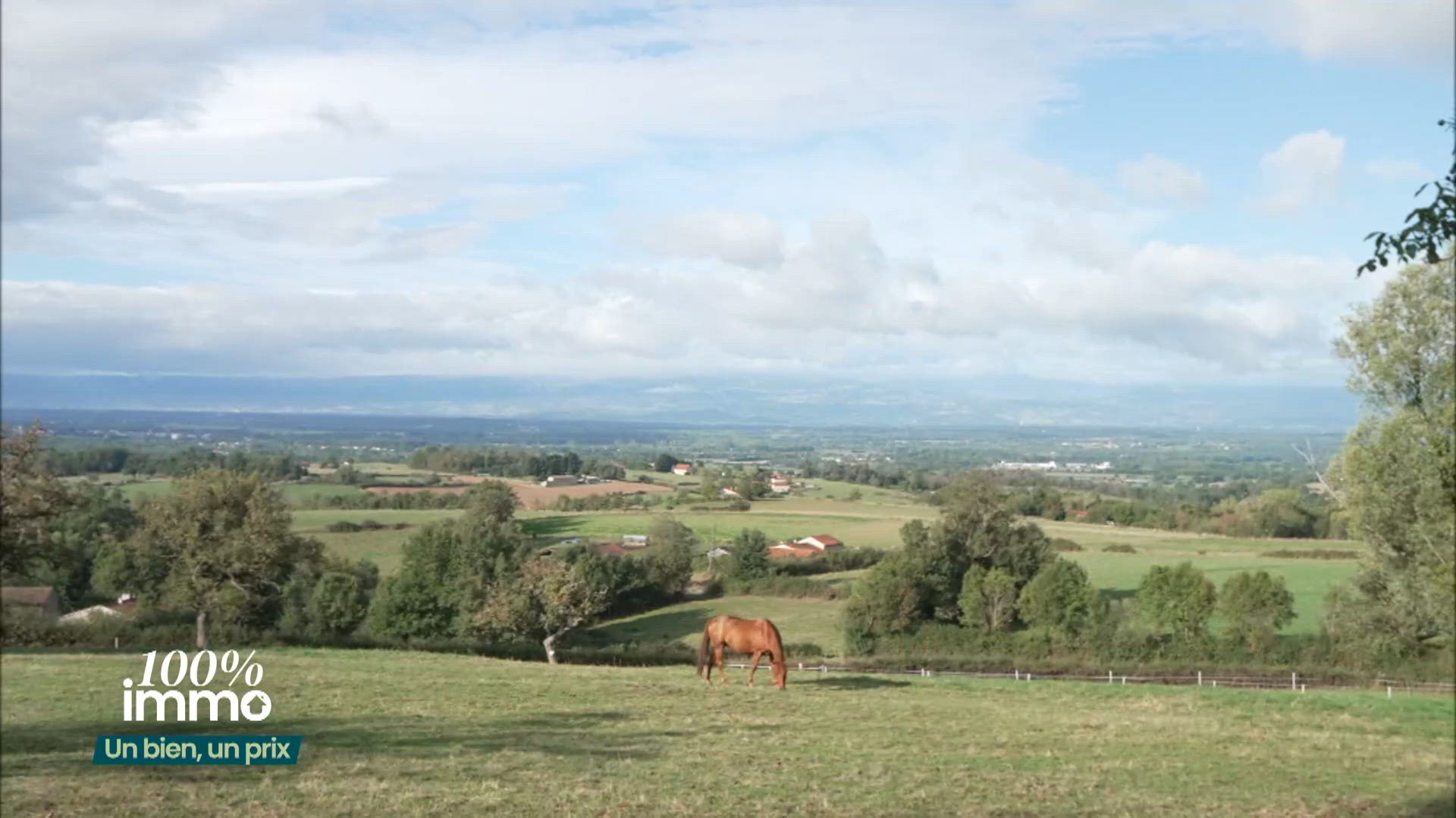 Combien coûte ce bien à Rozier-en-Donzy ?