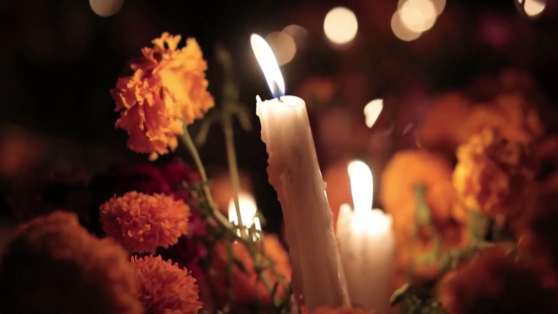 Fókusz Plusz 2025-11-01