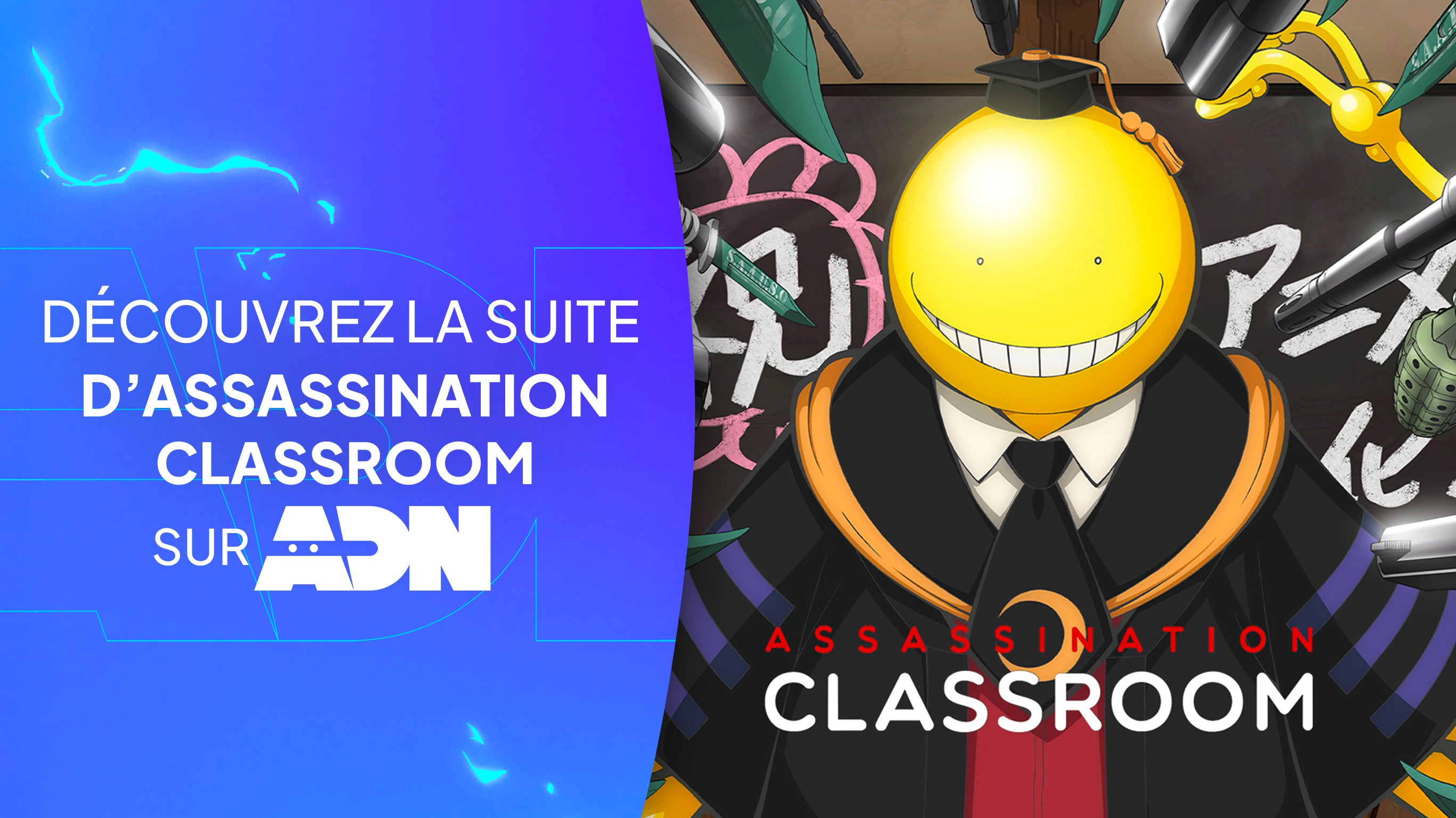 ProgramLink - vignette - 10032