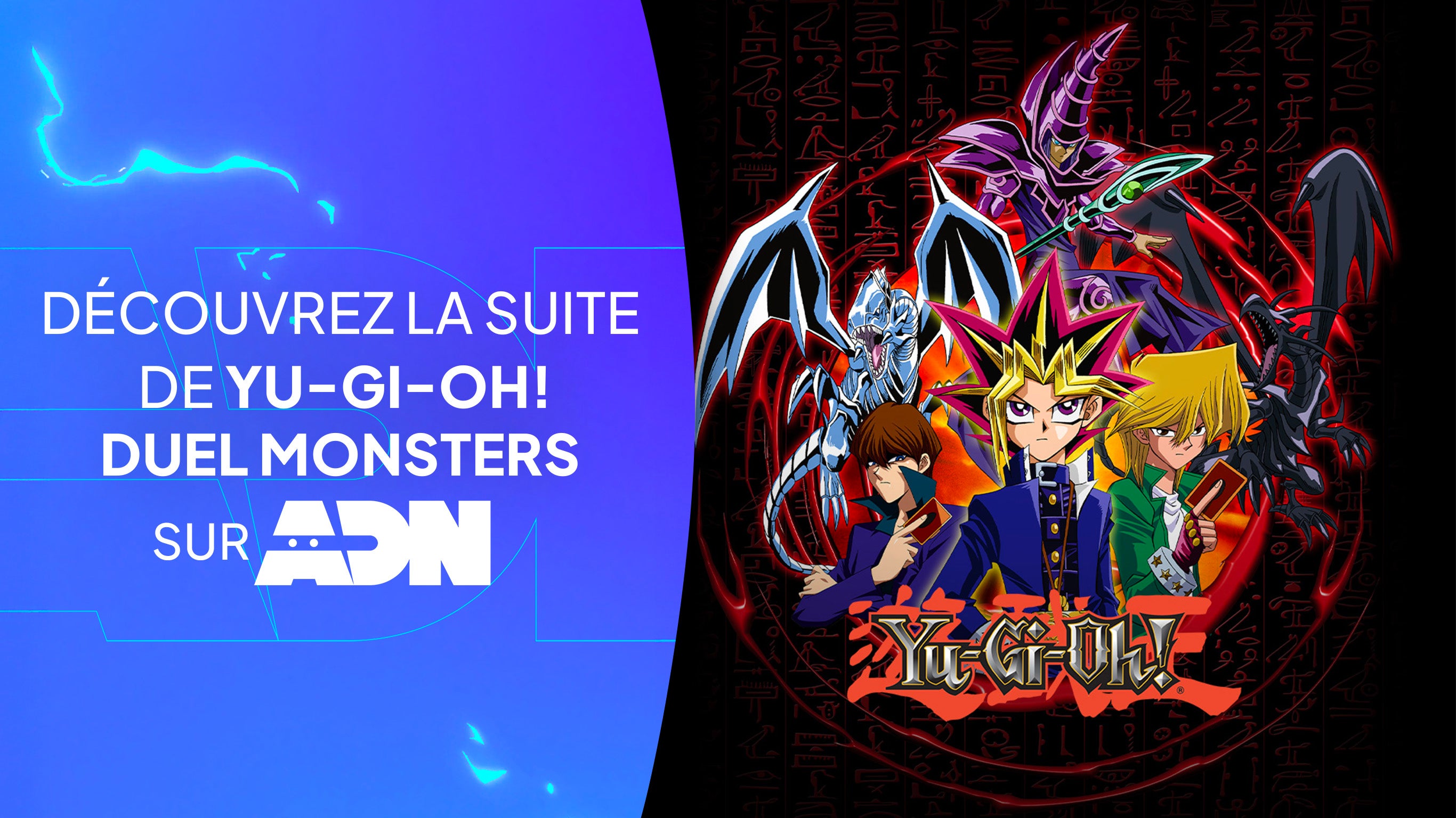 ProgramLink - vignette - 10035