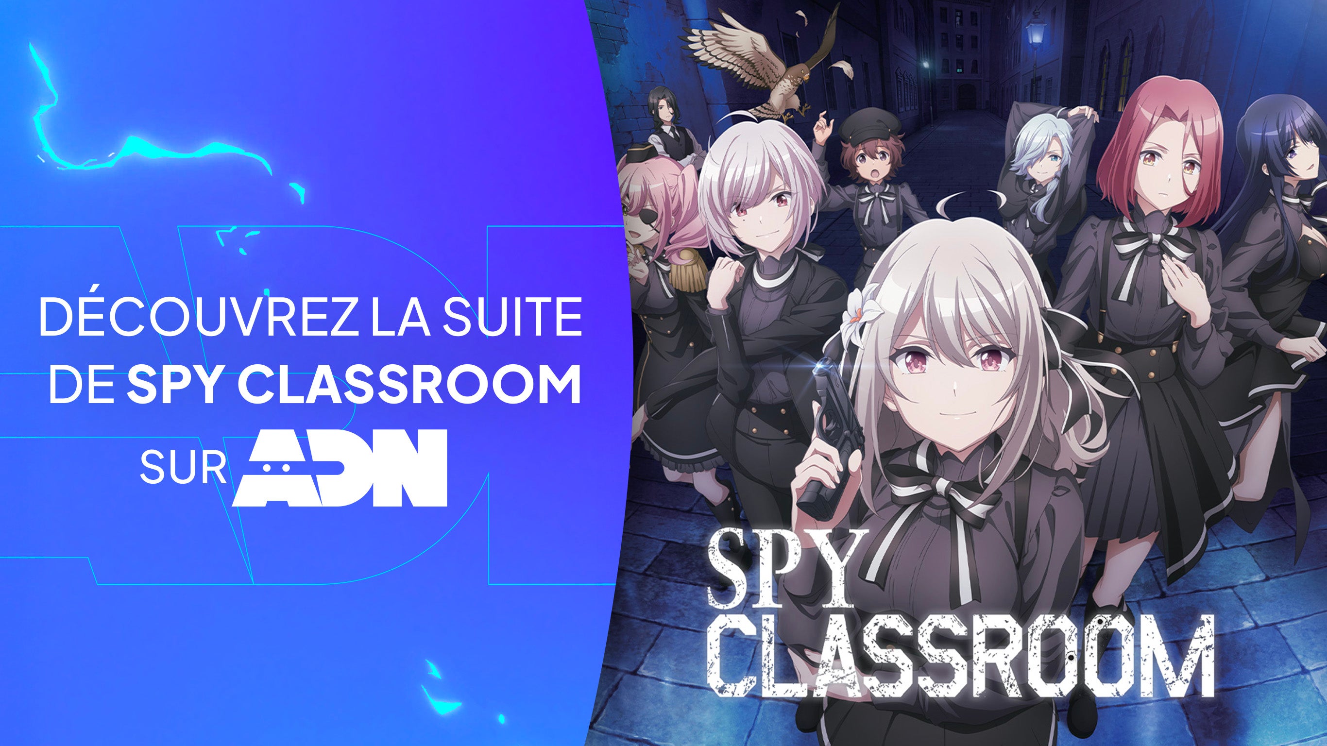 ProgramLink - vignette - 10072