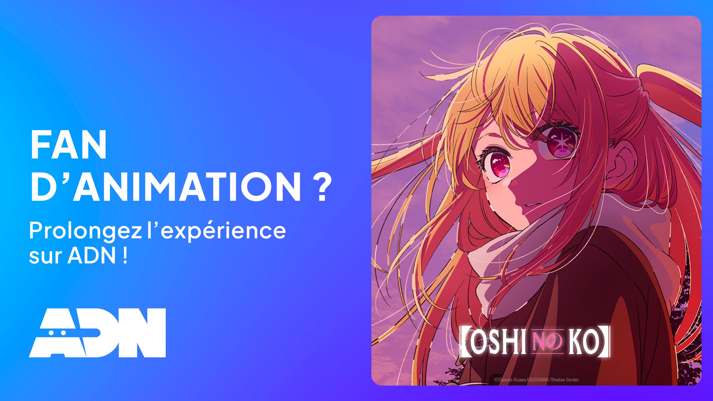 ProgramLink - vignette - 10075