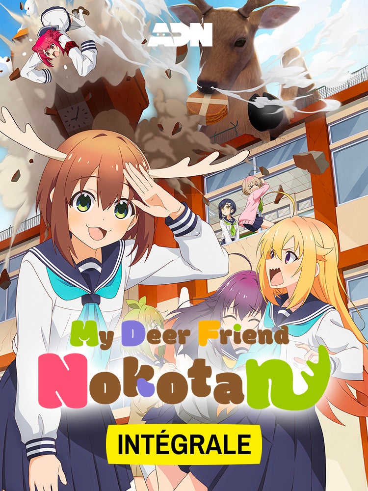 My deer friend Nokotan