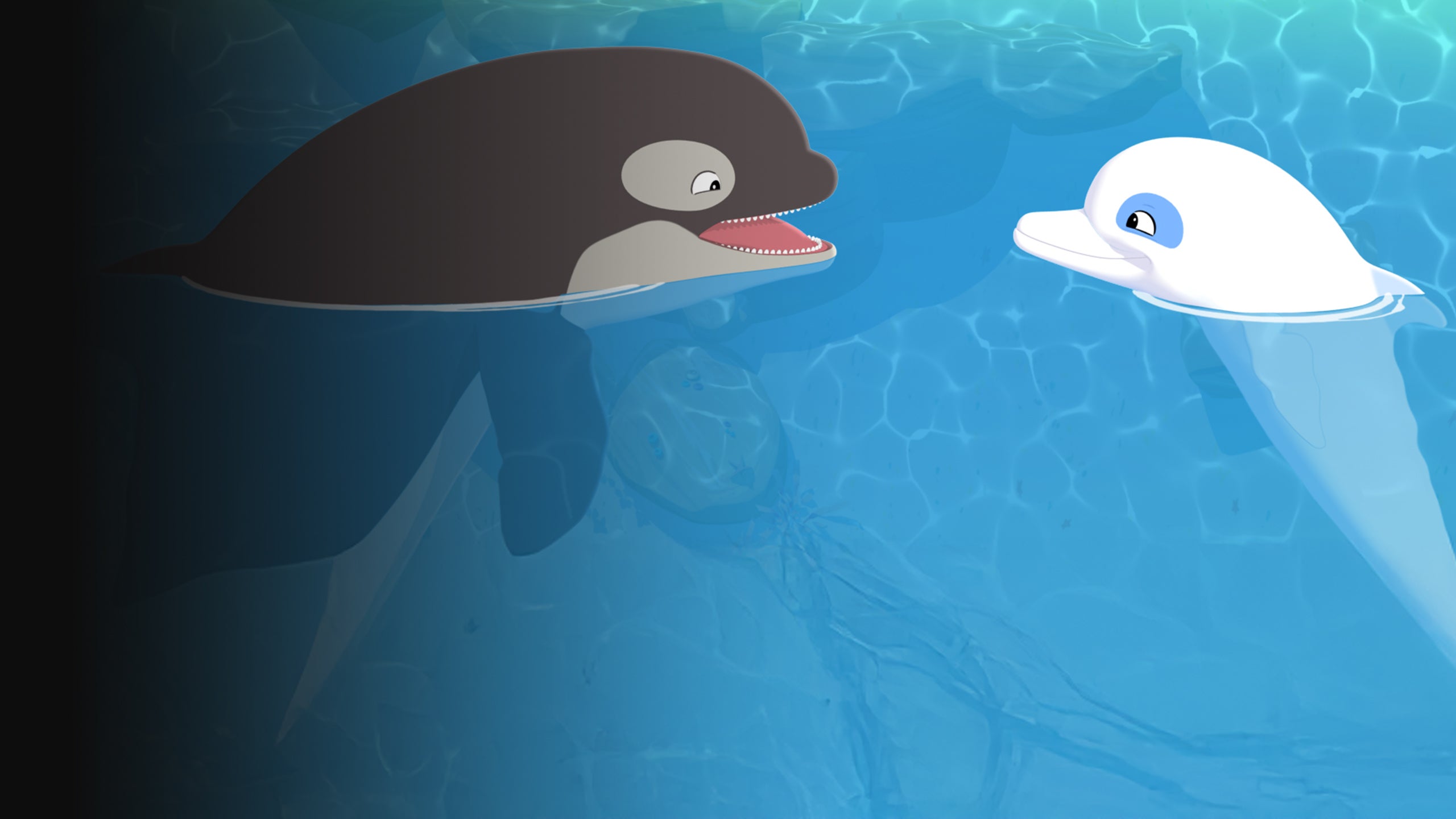 Zoom - A fehér delfin