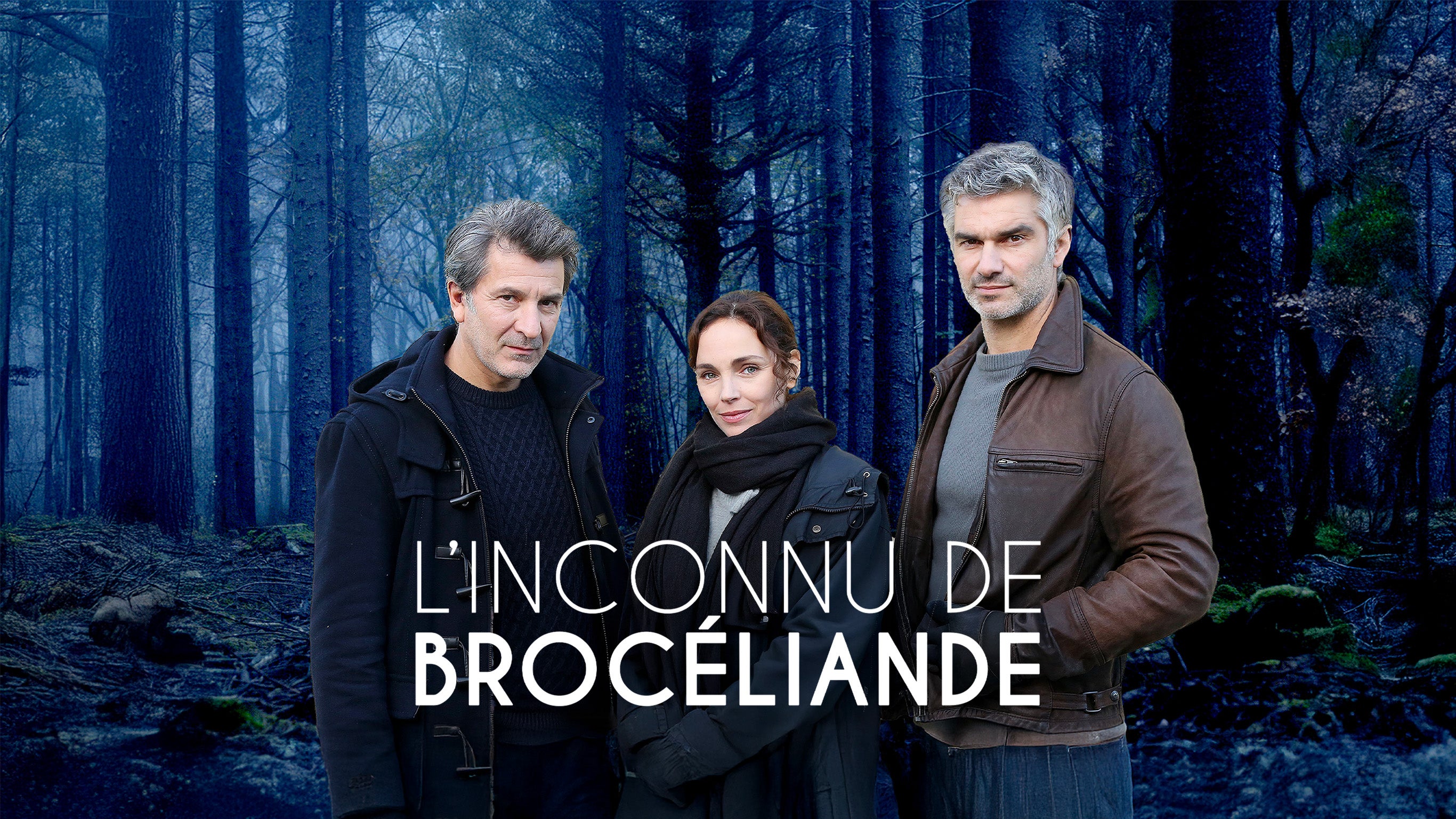 L'inconnu de Brocéliande