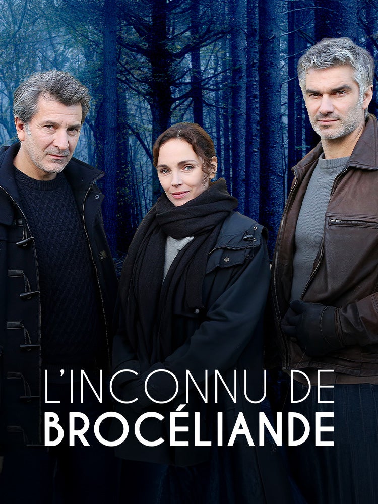 L'inconnu de Brocéliande