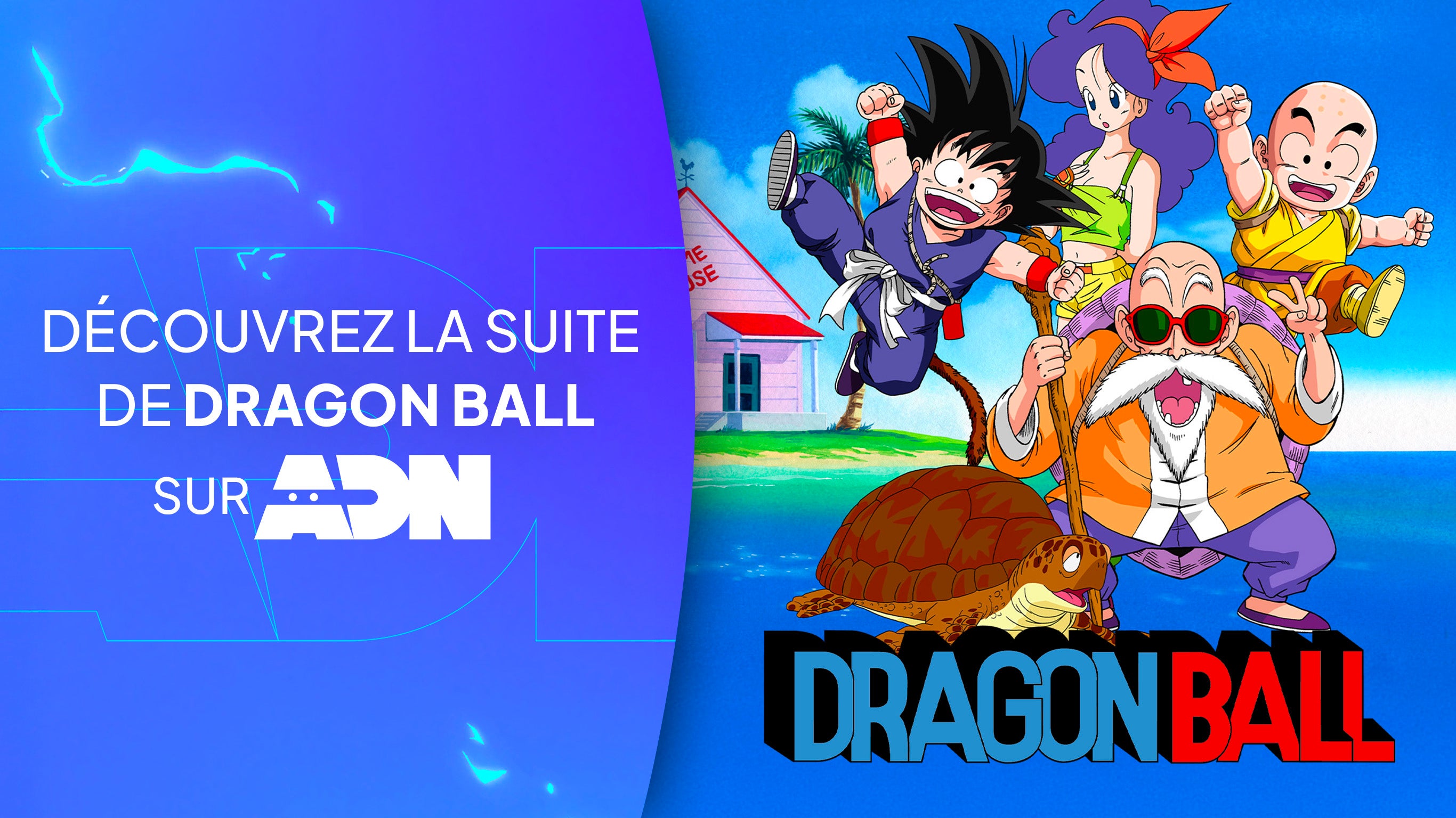 ProgramLink - vignette - 10113