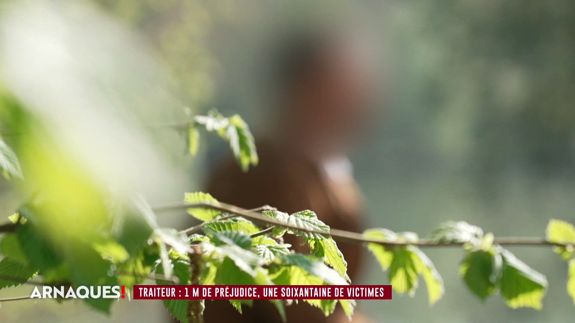 Spéciale guerre des voisins (1/2)