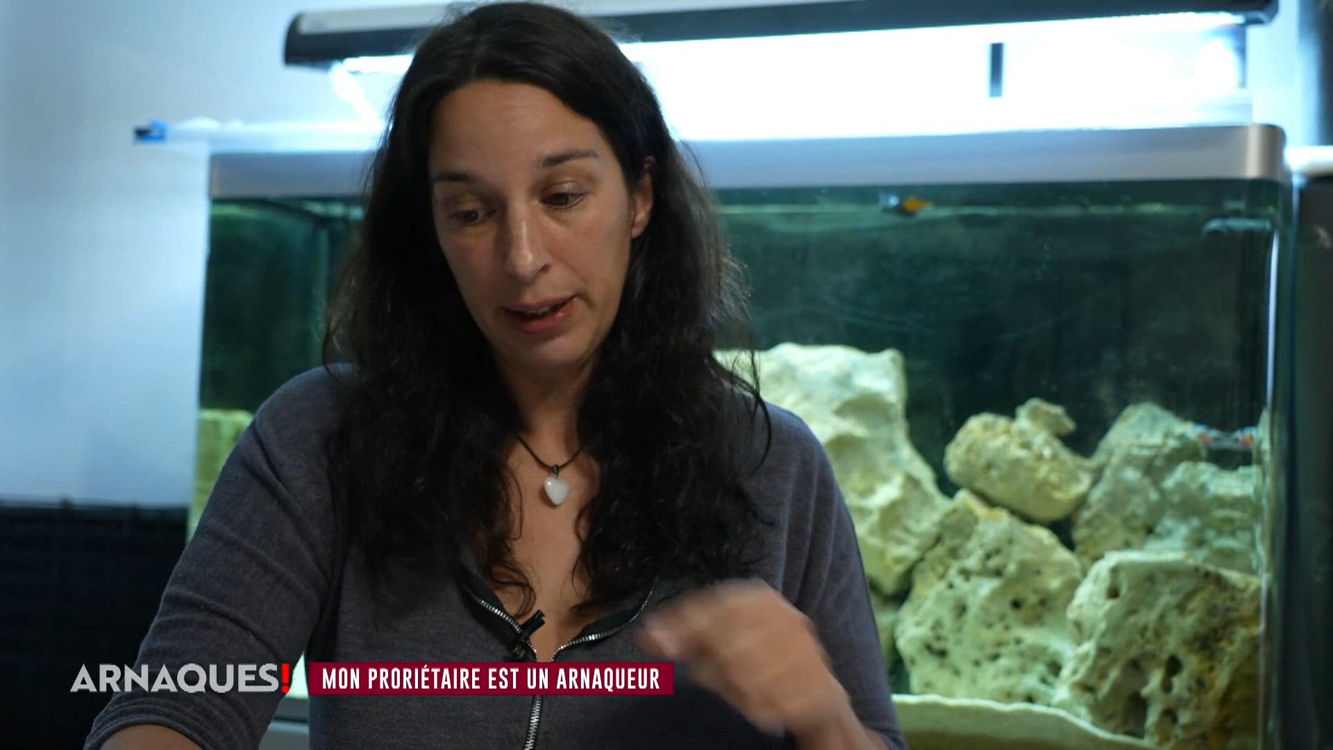 Spéciale guerre des voisins (2/2)