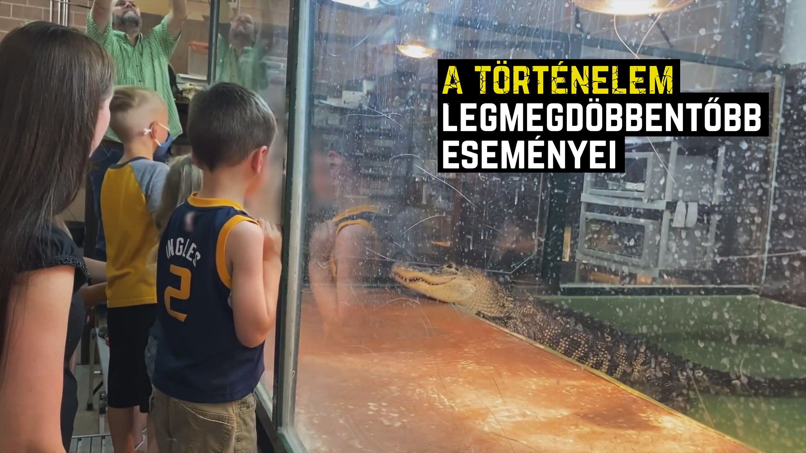 Így fárasztja ki áldozatát az aligátor - 1. évad | Részlet