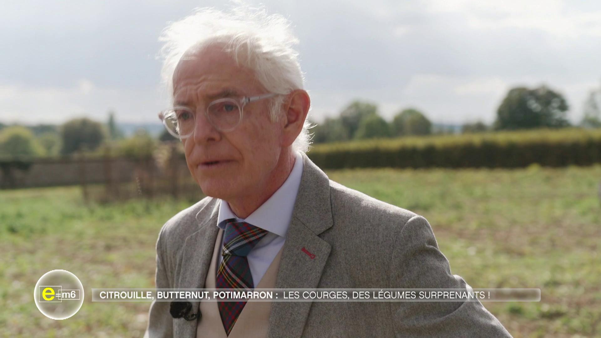 Lentilles, pois chiches, courges : les stars de l’automne décortiquées par la science !