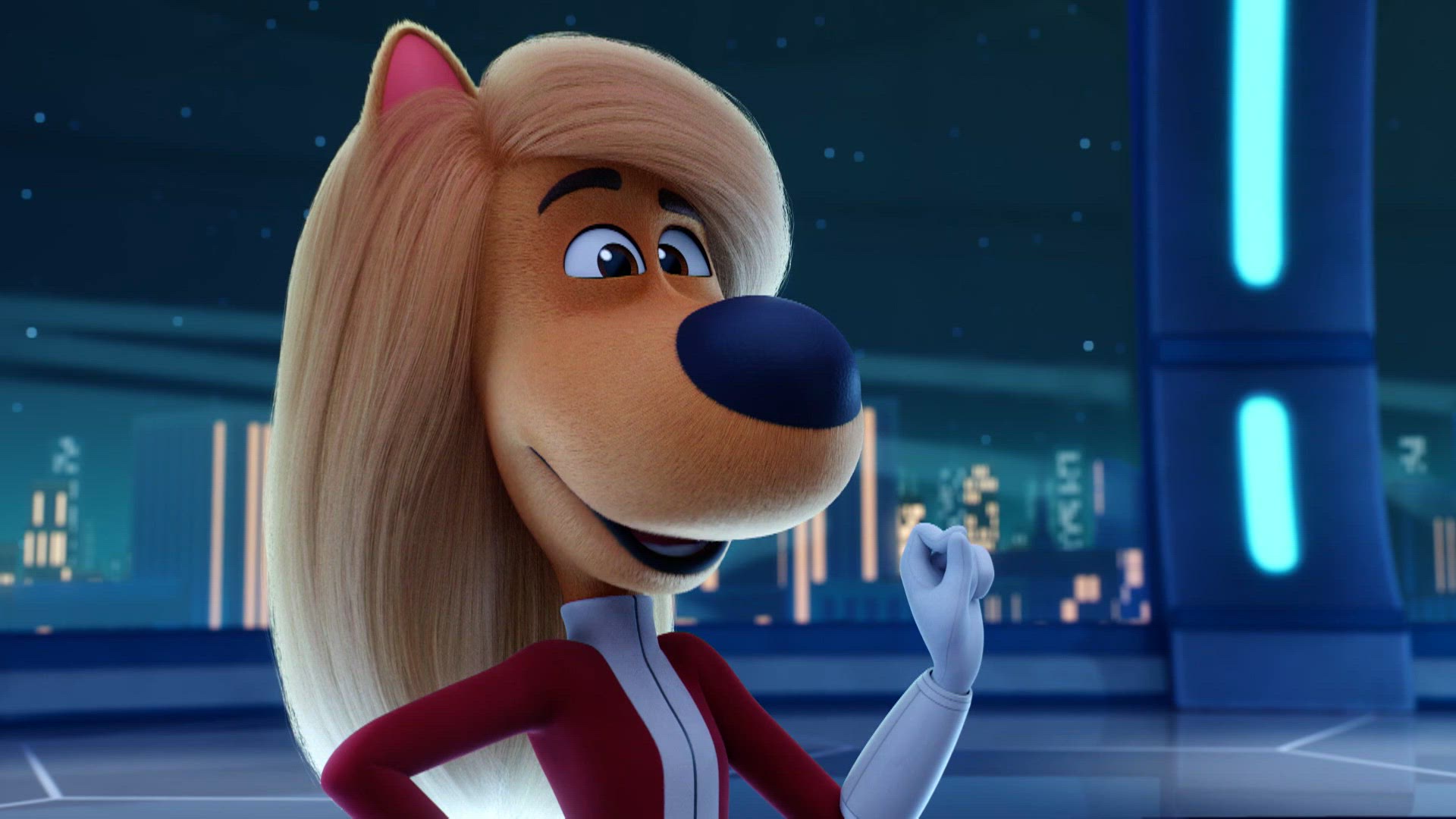 Une nuit au miaousée