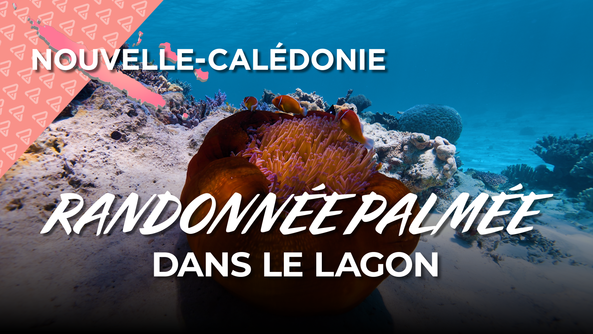 Randonnée palmée dans le lagon