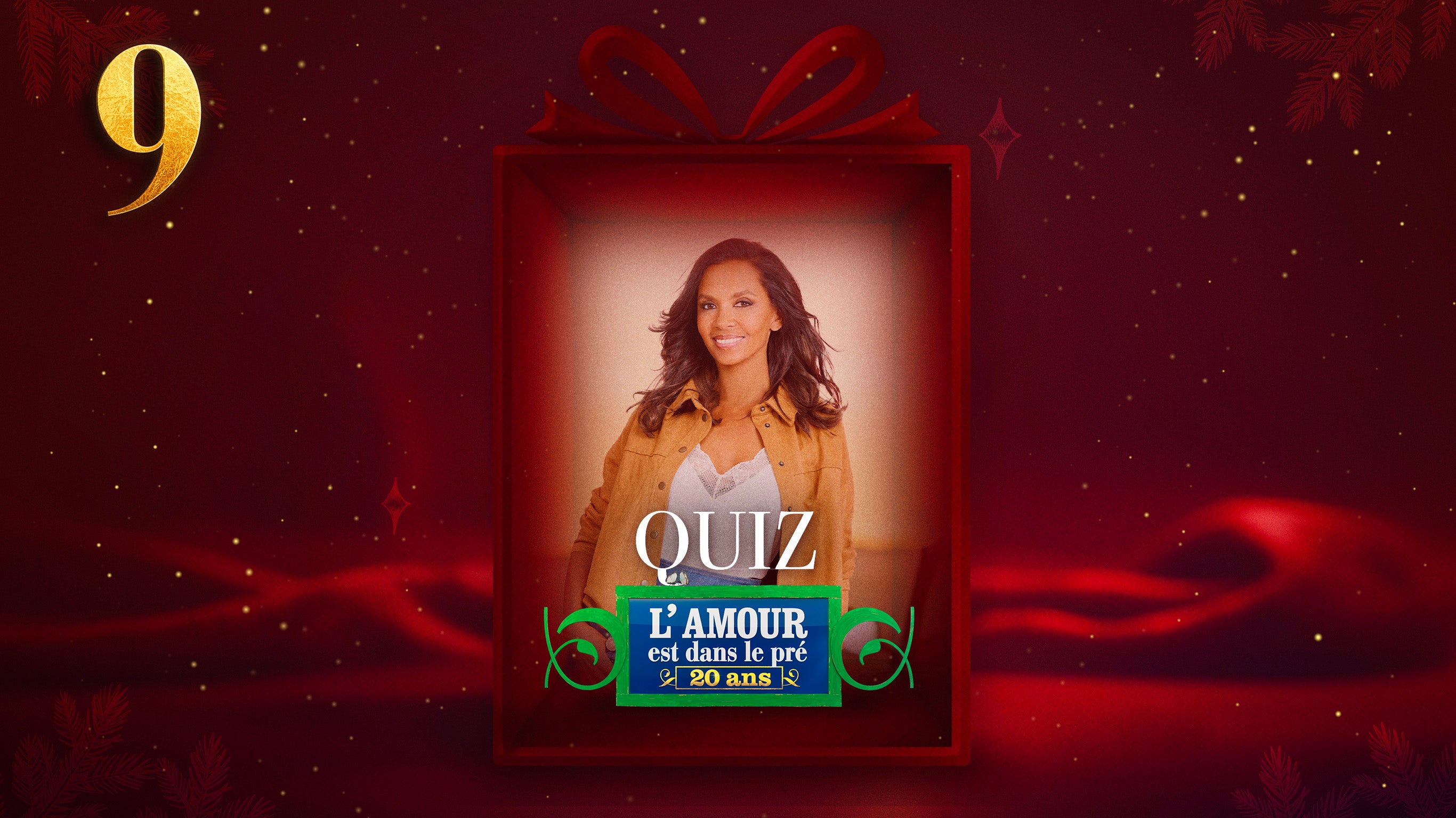 ProgramLink - vignette - 10172