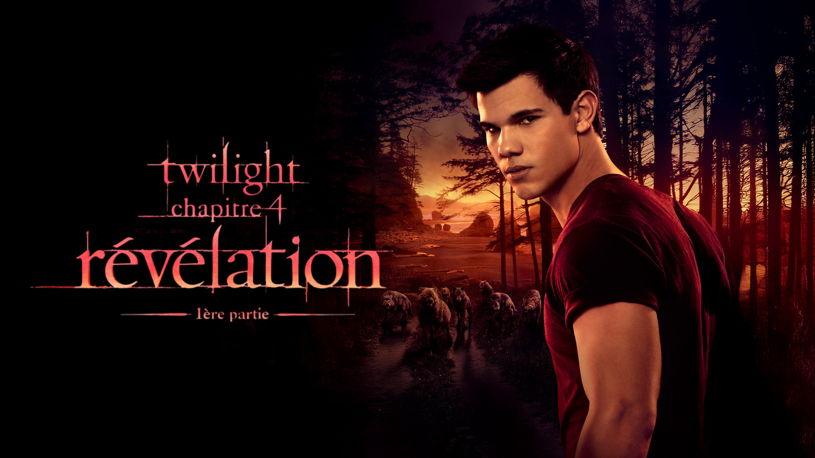 Twilight - Chapitre 4 : Révélation (Partie 1)