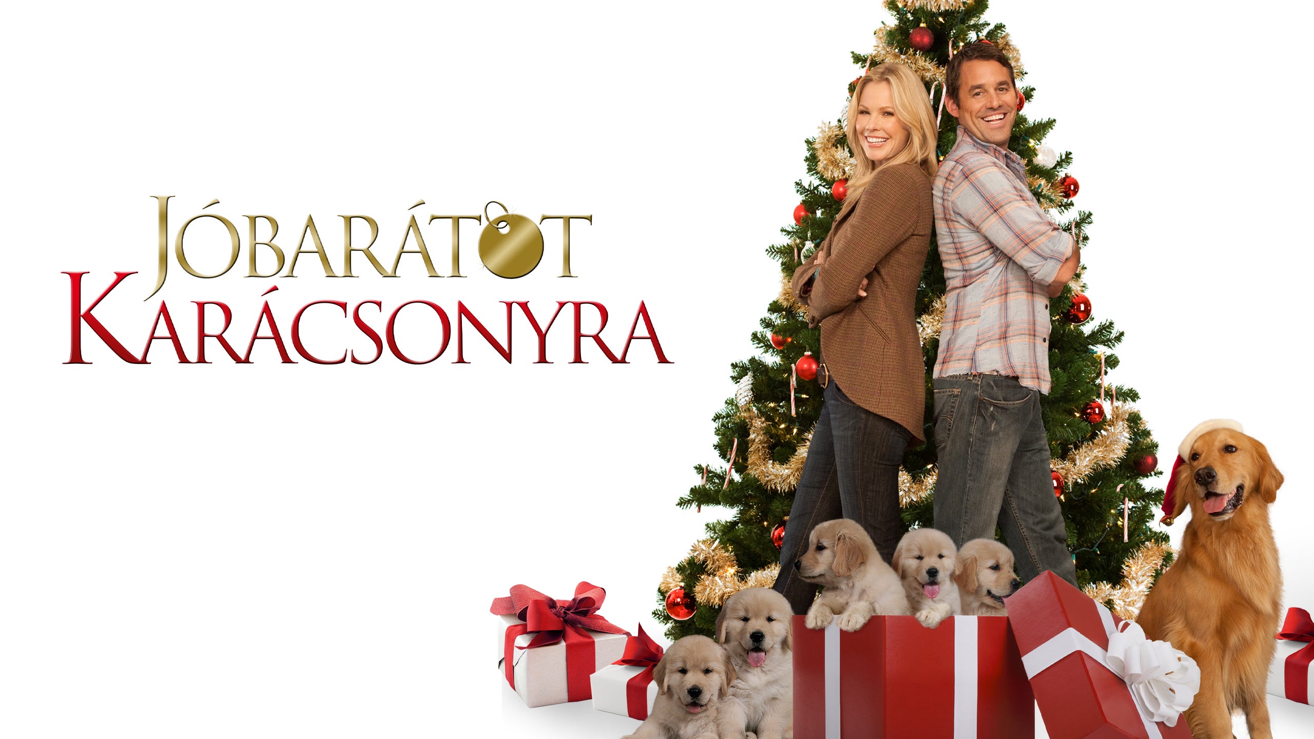 Jóbarátot karácsonyra