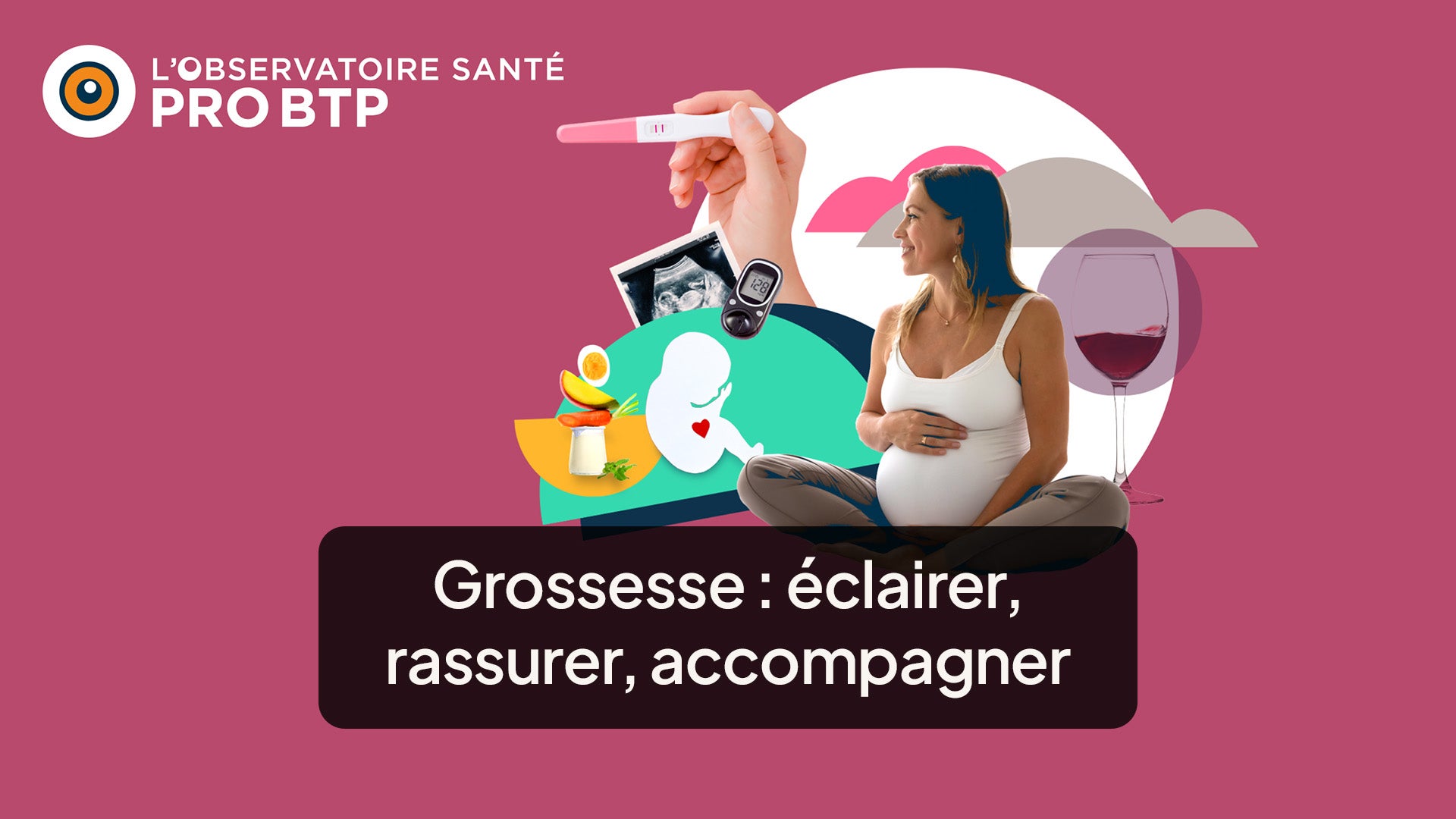 ProgramLink - vignette - 10254