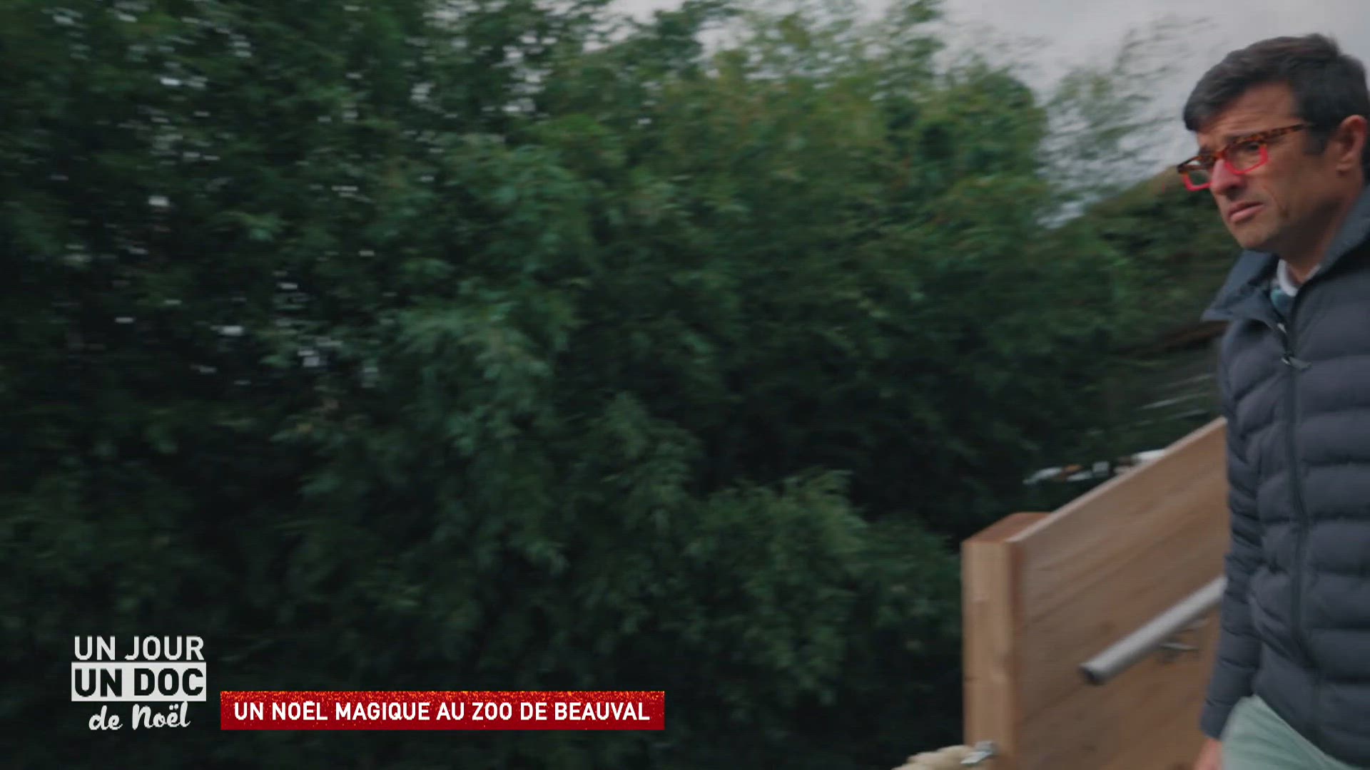 Un Noël magique au zoo de Beauval