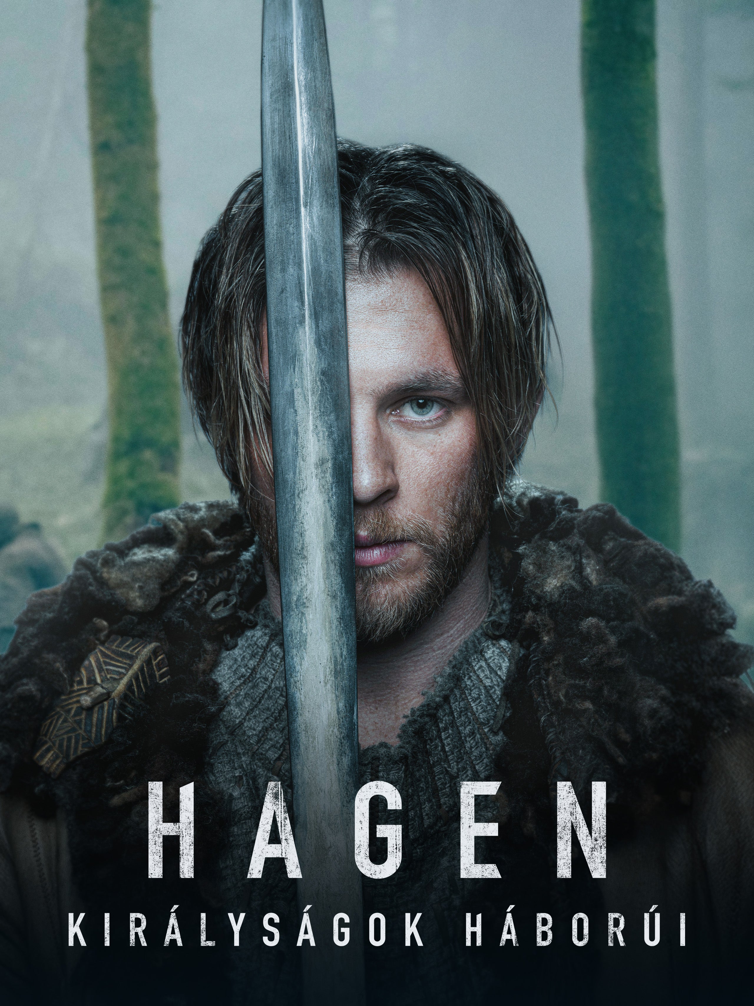 Hagen - Királyságok háborúi