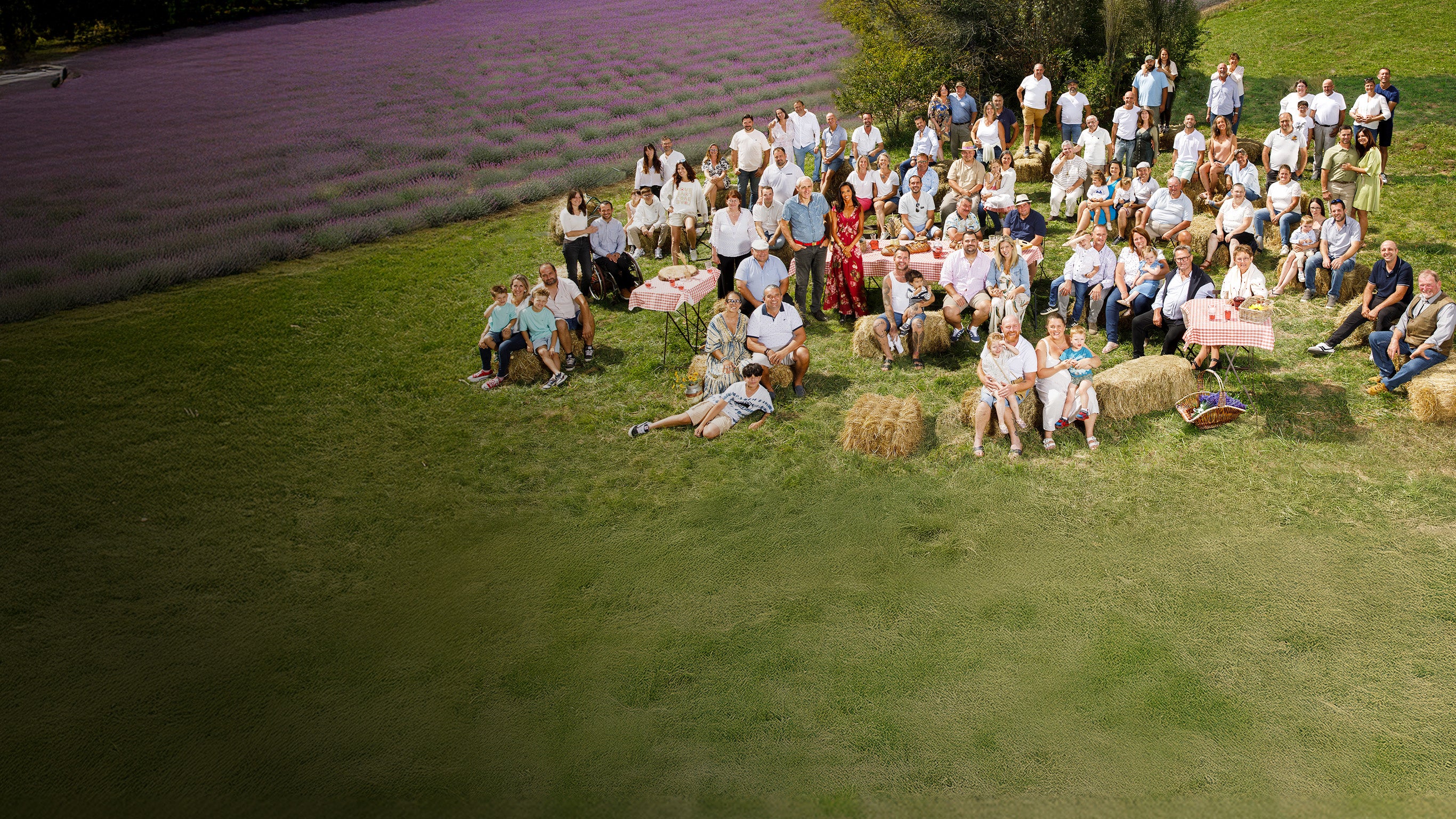 L'amour est dans le pré-