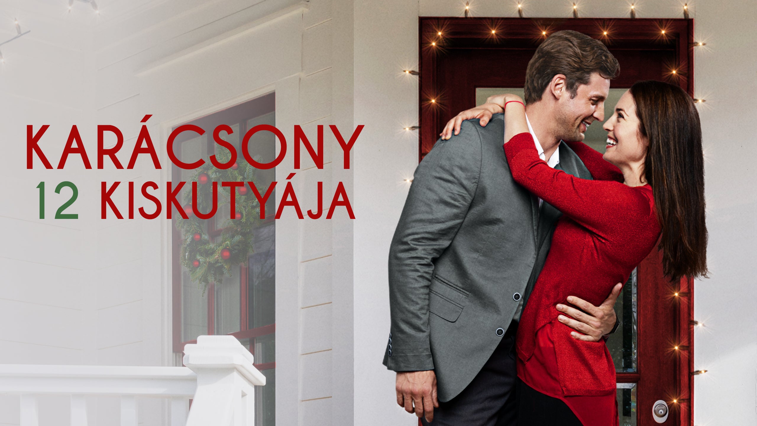 Karácsony 12 kiskutyája