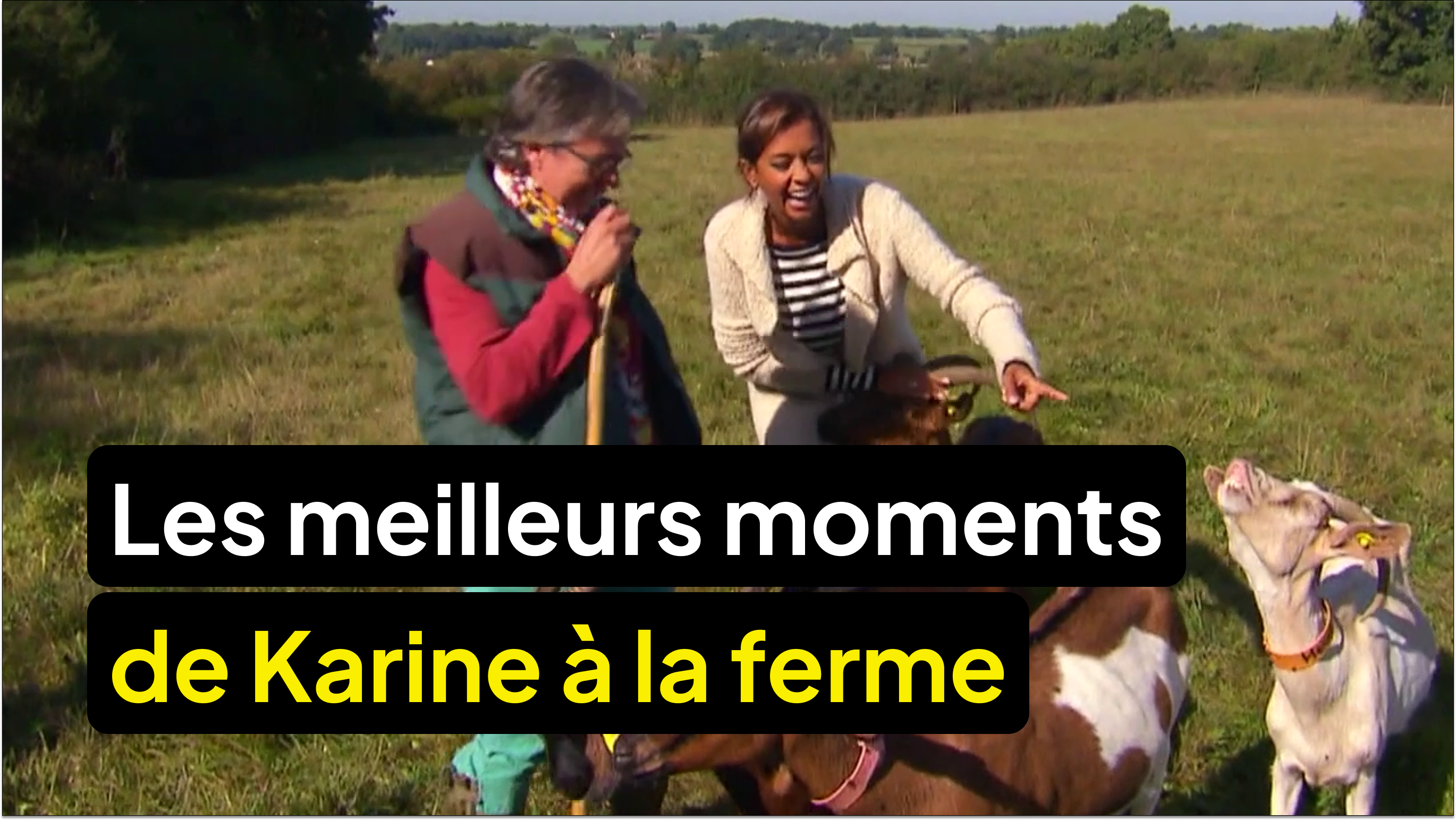 Les meilleurs moments de Karine Le Marchand à la ferme