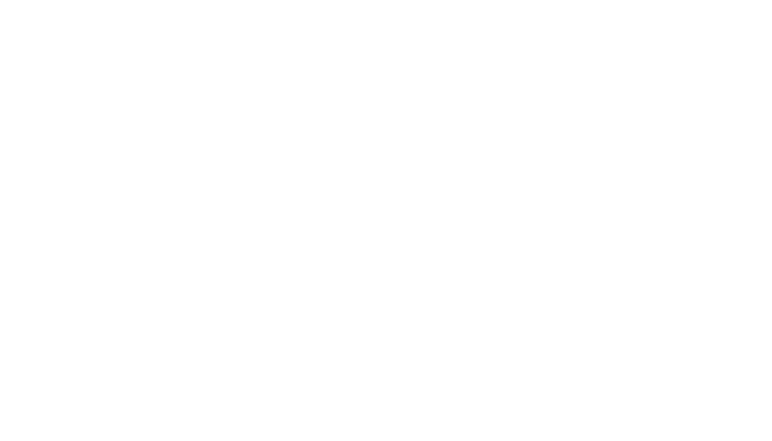 Un sapin de Noël deux amoureux