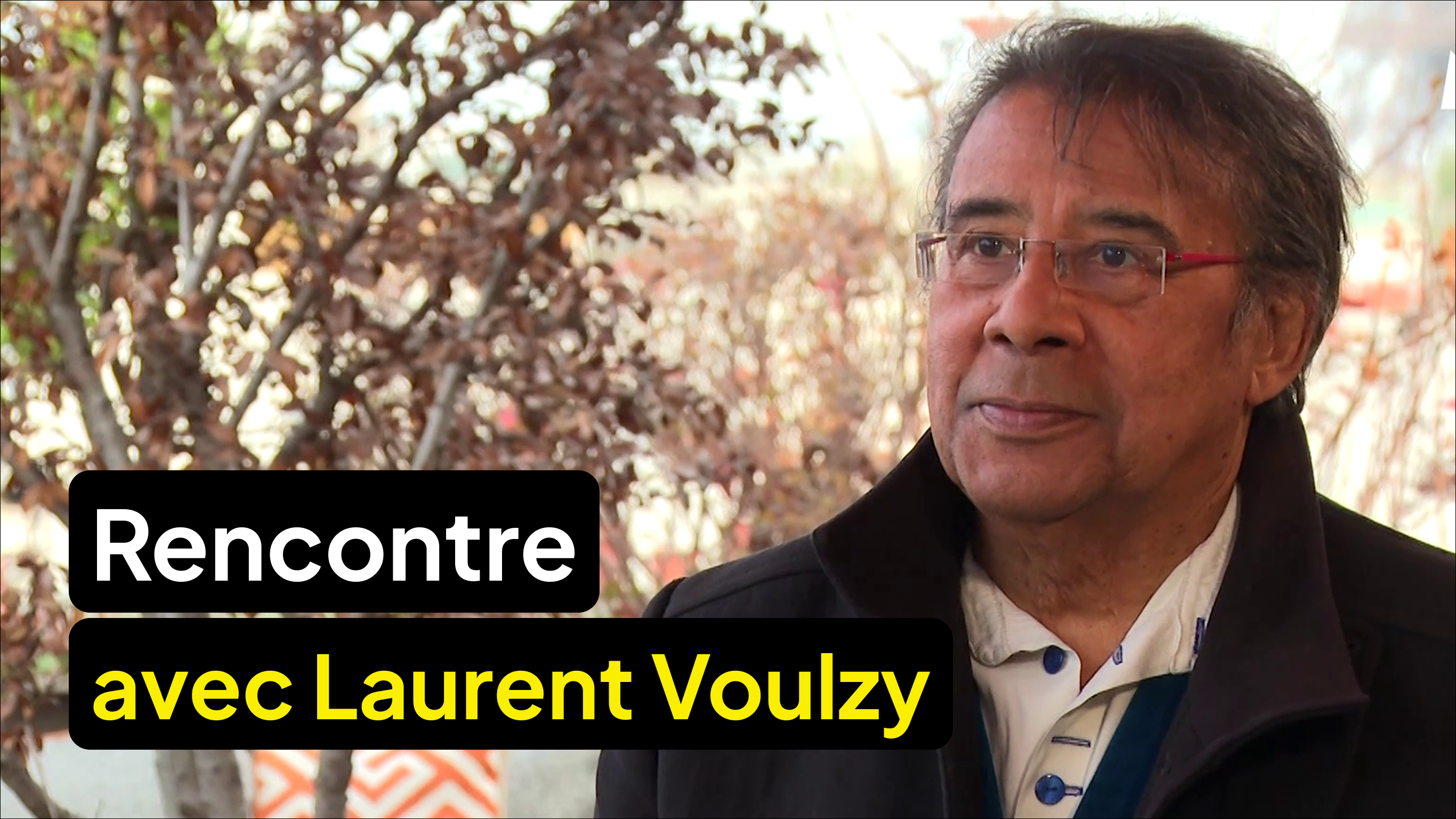 Rencontre avec Laurent Voulzy