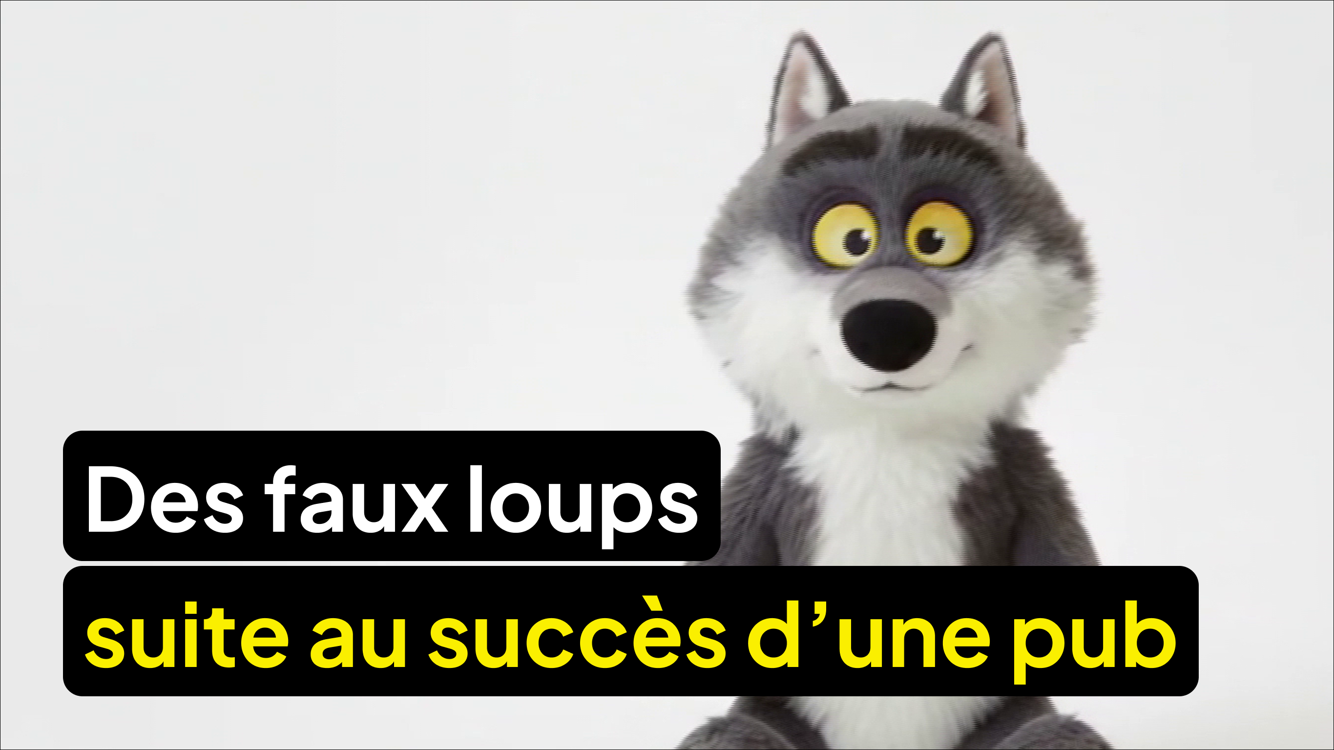 L’actu des réseaux