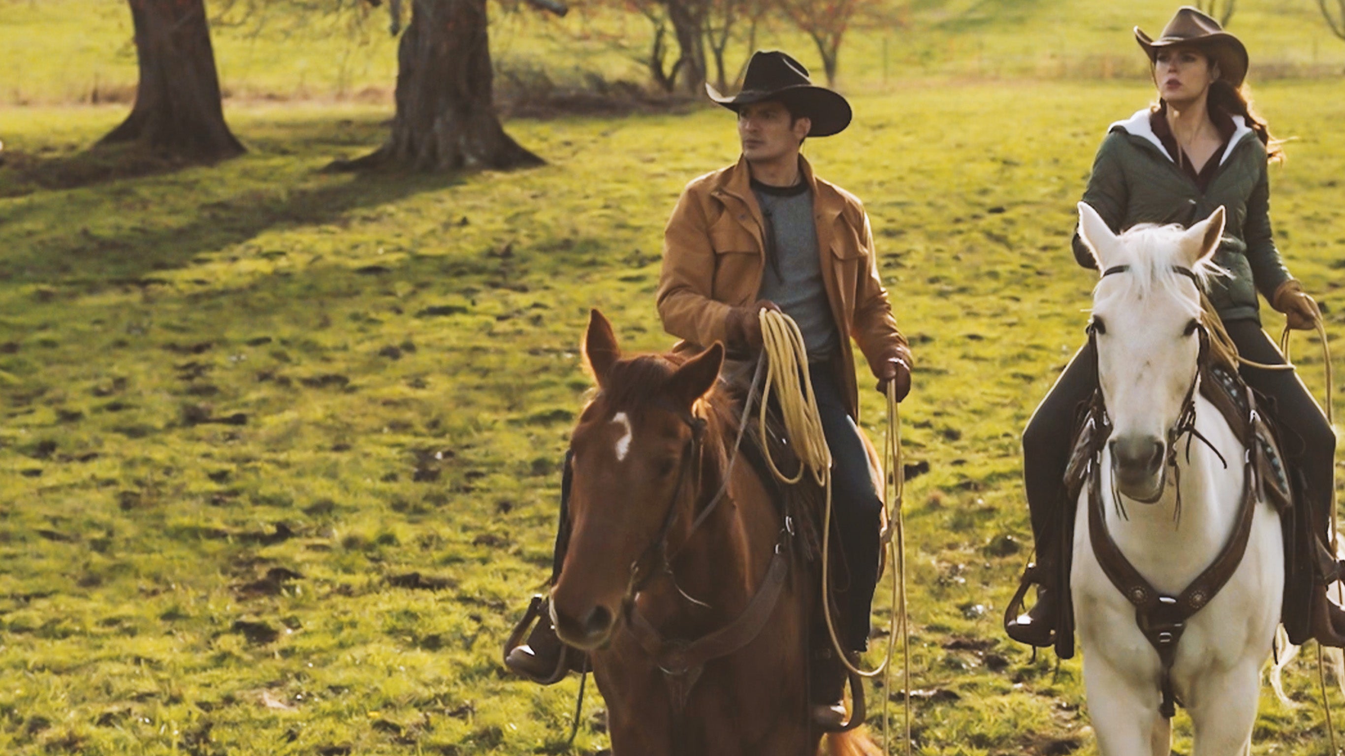 Noël dans la prairie