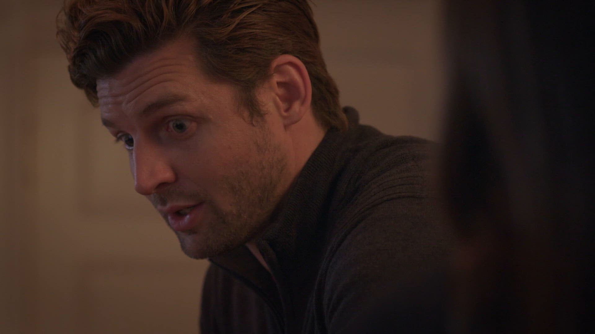 Karácsony 12 kiskutyája